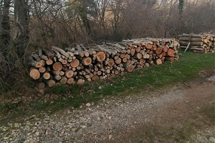 Slika /2023/drva za ogrjev.jpg